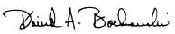 [Signiture of David A. Bachnowski]